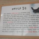 부산할매낙지볶음 이미지