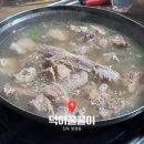 덕이꿀꿀이 이미지