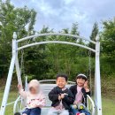 존앤폴팜스테이 이미지