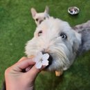 불리빌로우코리아센터 이미지