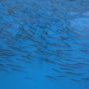 장흥권역농촌체험마을 이미지