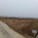 금곡9-9농로 이미지