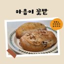 포항 양덕 카페 마음이꽃밭, 수제빵 깜빠뉴·포카치아 맛집 추천