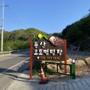 [대구 근교 캠핑장 / 경북 캠핑] 뷰가 예쁘고 깨끗한 군위 동산오토캠핑장