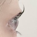 남천점 현대자동차 | 부산 경성대 부경대 속눈썹 유목민 가성비 펌 맛집 추천 | ‘스튜디오 시월 경성대점’ 솔직 후기, 지속력