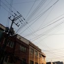 용용골동품 네이버블로그