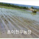 초이농장 이미지