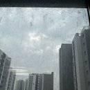 씨유 마곡1단지점 | 마곡 13단지 힐스테이트 서울 아파트 창문청소- 이렇게까지 깨끗해질지 몰랐어요!