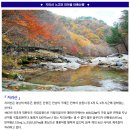 ♣10/29(일)지리산 노고단 피아골 붉은 단풍산행 이미지