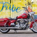 로드킹코리아 이미지