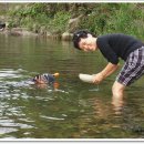 호박넝쿨 이미지