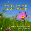 화순 볼거리 이미지