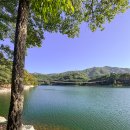 출렁다리주차장 이미지