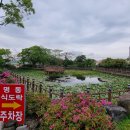 명동식도락 - 중구 | 명동식도락