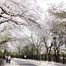 제물량로232번길 이미지