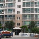 그린비디오 이미지