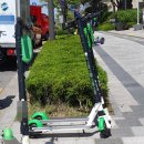 주정차-15 이미지