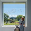 금빛가든 | 스누피가든 여행 후기 | 빛이 머무는 제주 감성정원