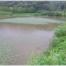 대물낚시 이미지