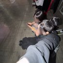 캣프로 | 도자캣 내한 콘서트 굿즈 공연 첫 킨텍스 스탠딩 관람 후기