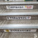 국가대표 알파태권도장 이미지