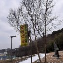 유성대로 1366번길 이미지
