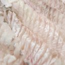 군산횟집 이미지