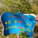 원주굽이길 14코스 흥업캠퍼스낭만길 | 산책 장소] 원주 강아지 산책로 추천 3편 / 장거리 산책 강쥐들 모여라 / 원주 둘레길&amp; 굽이길 산책코스