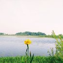 백련낚시터 이미지