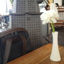 앤드제이(and.J) 이미지