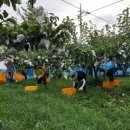 두섭농장 이미지