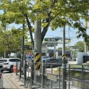 천변주유소 이미지