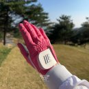 (주)네오비앙 | 로제비앙CC 날씨 핑크 생일카트 라운딩 가능한 골프장