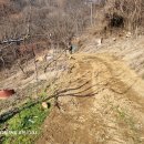 백족산 흑염소 티스토리