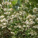 산마루로 이미지