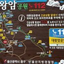 대왕암솔바람길 이미지