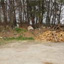 부발목장 이미지