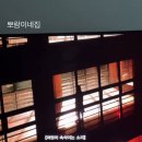 살아있는 게 행복이라고? NINASARA