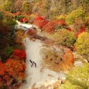 (주)대원고속관광 이미지