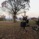 금은모래 캠핑장 이미지