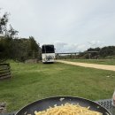 명성세탁소 | 뉴질랜드 워홀+115-118 로드트립5일차 웰링턴에서 4일! 다시 돌아온 Helpx