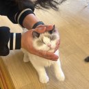 크크 피씨방 | 3월 초의 일상 글 , 스트레스는 먹는걸로 풀어버리기