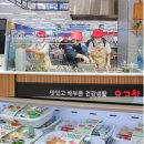 비앤에프스포츠 스포츠경향