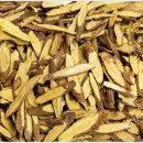 터미널  안경 이미지