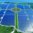 용수태양광발전소 이미지