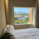 아누캄파(ANUKAMPA) 이미지