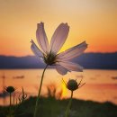 갯바람펜션 이미지