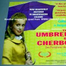 선물 for you 이미지