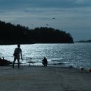 고창하늘빛발전소 | 고창 청보리밭 &amp; 영광 철산 타워 탐방 후기