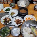 본가 황태마을 이미지